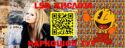 стафф Михайловск